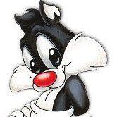 Slika korisnika Mirjana Zdravkovic's