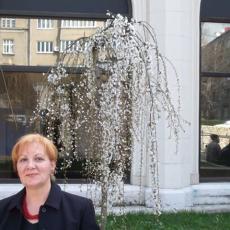 Slika korisnika Vesna Zorlak's