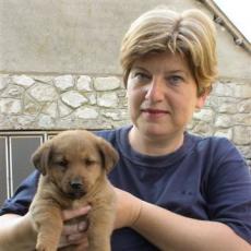 Slika korisnika Svetlana Stojkovic's