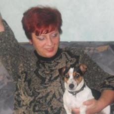Slika korisnika Jelena Petrović's