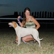 Slika korisnika Irena Oršulić's