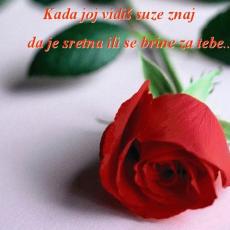 Slika korisnika Maja Šiško's