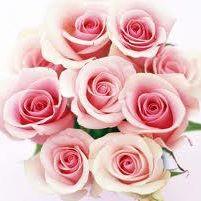 Slika korisnika Evita Flowers's