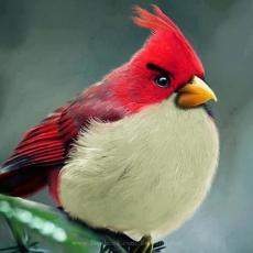 Slika korisnika Marko Mitev's