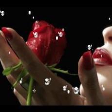 Slika korisnika Maja Mihaljević's