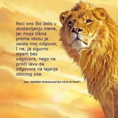 Slika korisnika NI KO LI NA's