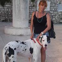 Slika korisnika Davorka Gajic's